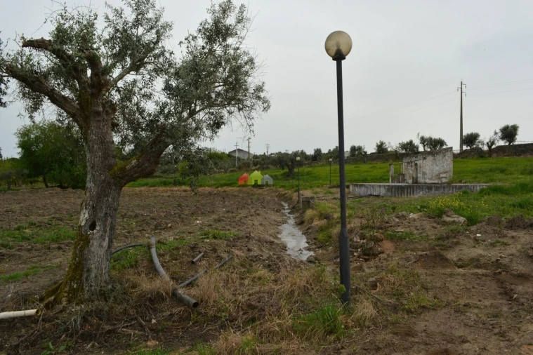 Quinta T12 para Venda em Beja (Santiago Maior e São João Baptista) Foto 18