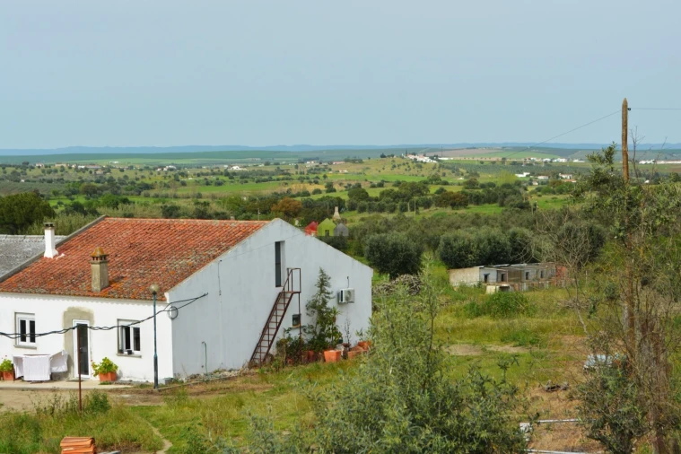 Quinta T12 para Venda em Beja (Santiago Maior e São João Baptista) Foto 30