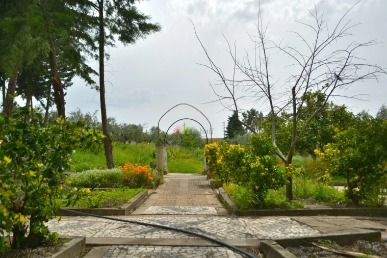 Quinta T12 para Venda em Beja (Santiago Maior e São João Baptista) Foto 3