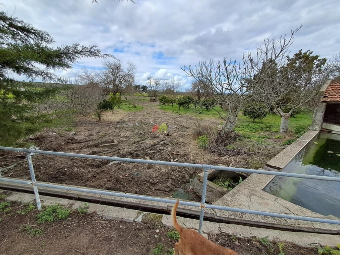 Quinta T12 para Venda em Beja (Santiago Maior e São João Baptista) Foto 53
