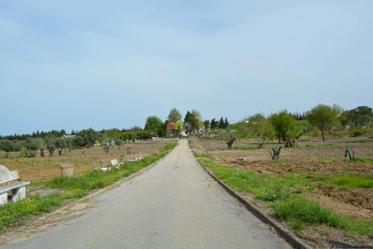 Quinta T12 para Venda em Beja (Santiago Maior e São João Baptista) Foto 38