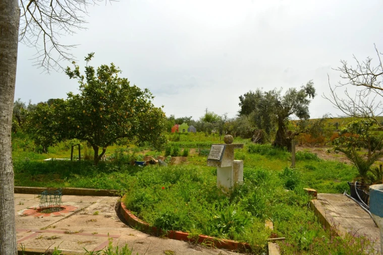 Quinta T12 para Venda em Beja (Santiago Maior e São João Baptista) Foto 5
