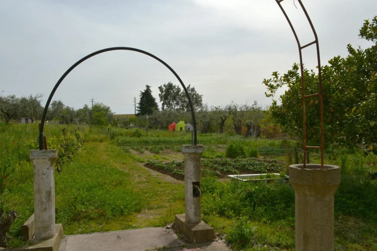 Quinta T12 para Venda em Beja (Santiago Maior e São João Baptista) Foto 35