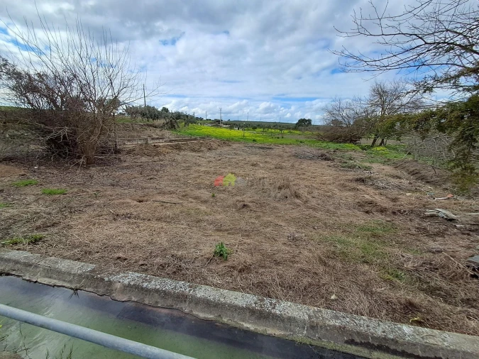 Quinta T12 para Venda em Beja (Santiago Maior e São João Baptista) Foto 54