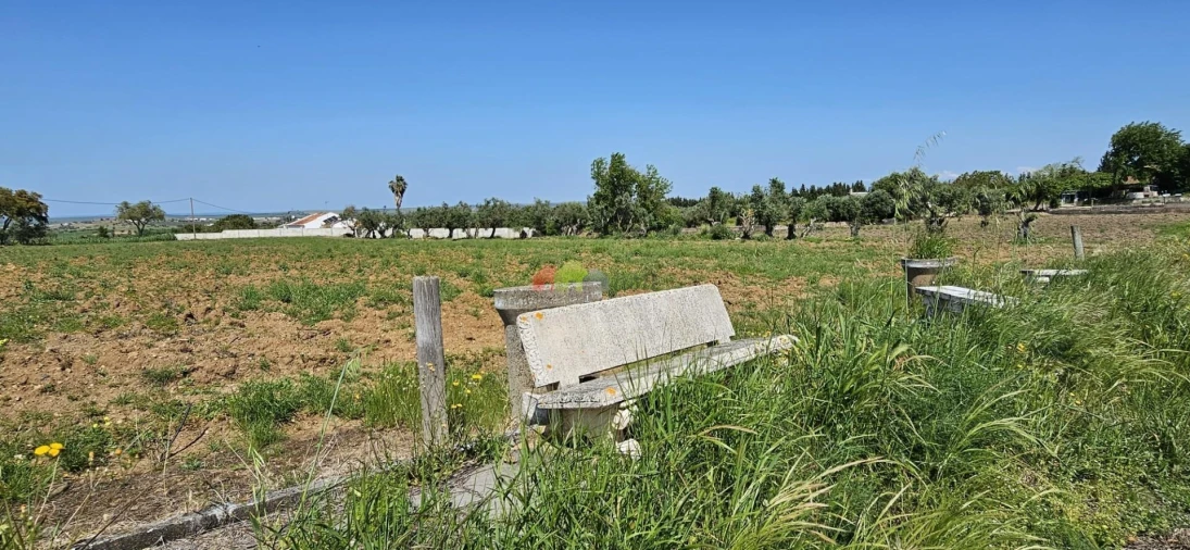 Quinta T12 para Venda em Beja (Santiago Maior e São João Baptista) Foto 82