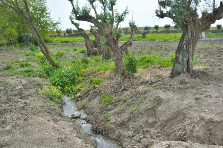 Quinta T12 para Venda em Beja (Santiago Maior e São João Baptista) Foto 13