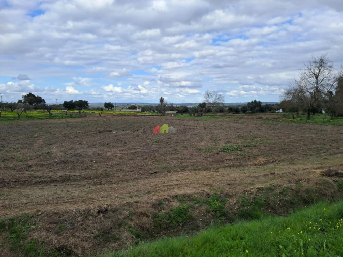 Quinta T12 para Venda em Beja (Santiago Maior e São João Baptista) Foto 56