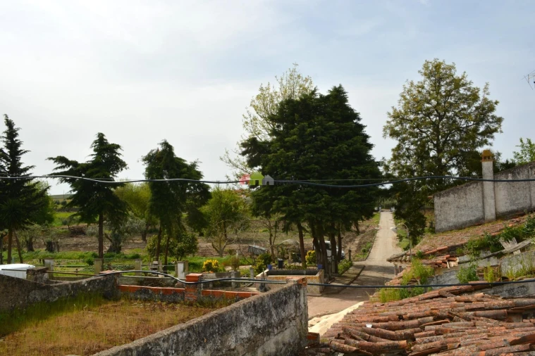 Quinta T12 para Venda em Beja (Santiago Maior e São João Baptista) Foto 28