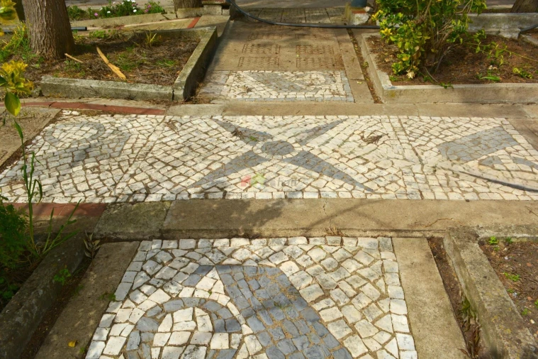 Quinta T12 para Venda em Beja (Santiago Maior e São João Baptista) Foto 36