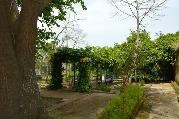 Quinta T12 para Venda em Beja (Santiago Maior e São João Baptista) Foto 8