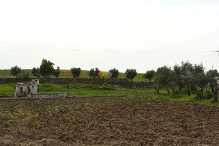 Quinta T12 para Venda em Beja (Santiago Maior e São João Baptista) Foto 14