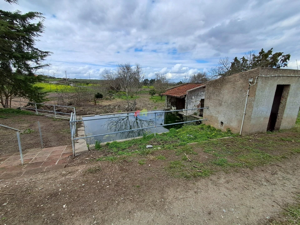 Quinta T12 para Venda em Beja (Santiago Maior e São João Baptista) Foto 46