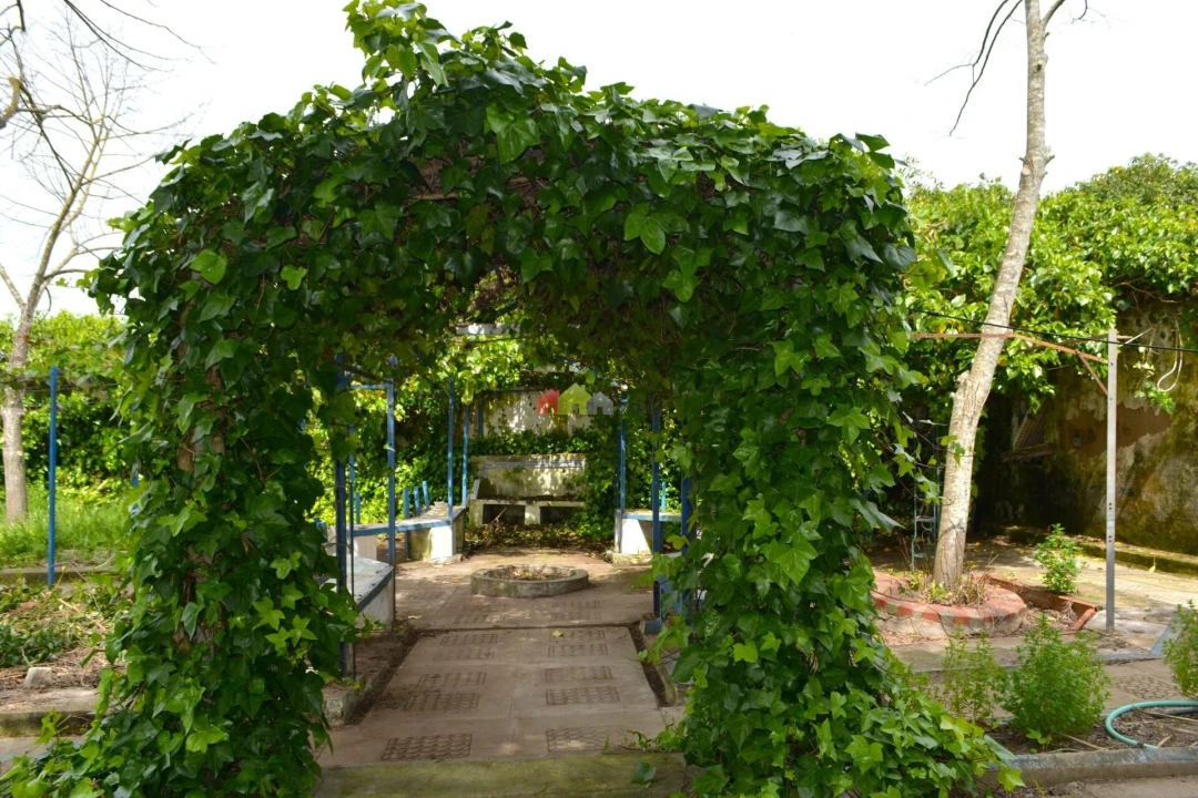 Quinta T12 para Venda em Beja (Santiago Maior e São João Baptista) Foto 7