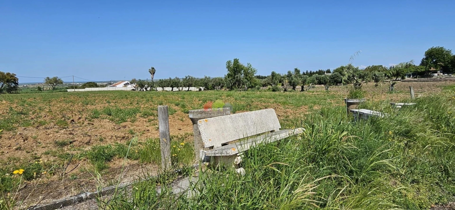Quinta T12 para Venda em Beja (Santiago Maior e São João Baptista) Foto 82