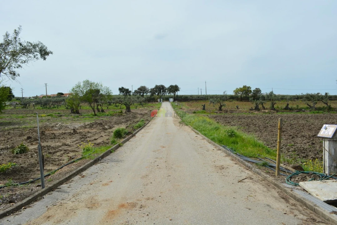 Quinta T12 para Venda em Beja (Santiago Maior e São João Baptista) Foto 9