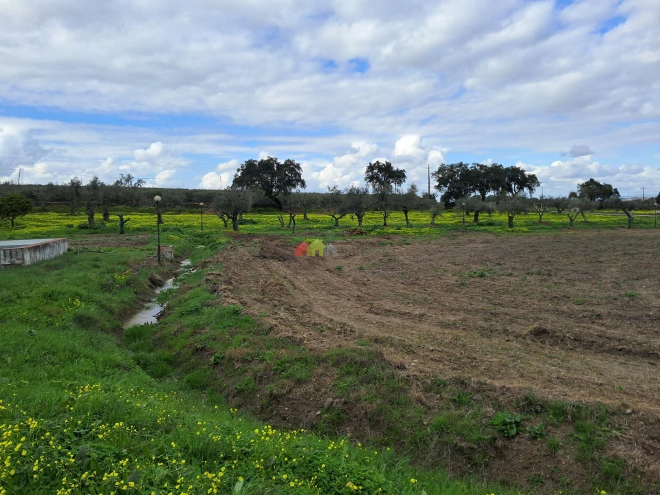 Quinta T12 para Venda em Beja (Santiago Maior e São João Baptista) Foto 57