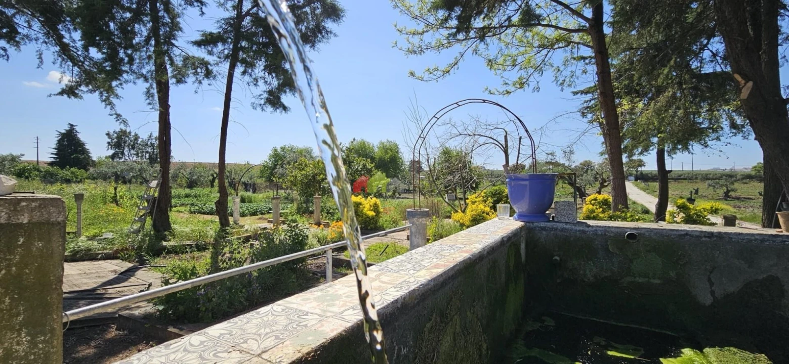 Quinta T12 para Venda em Beja (Santiago Maior e São João Baptista) Foto 93