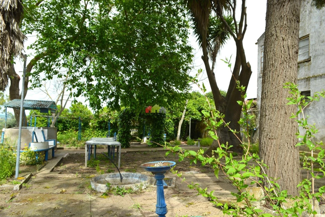 Quinta T12 para Venda em Beja (Santiago Maior e São João Baptista) Foto 6