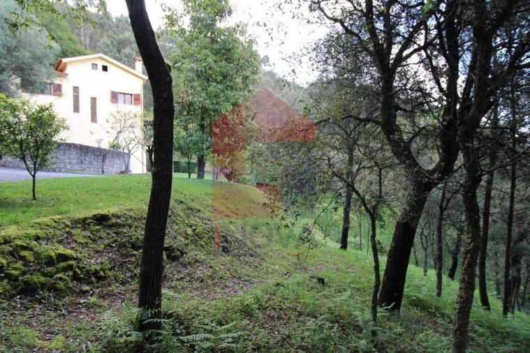 Moradia T4 para Venda em Ribeira do Neiva Foto 65