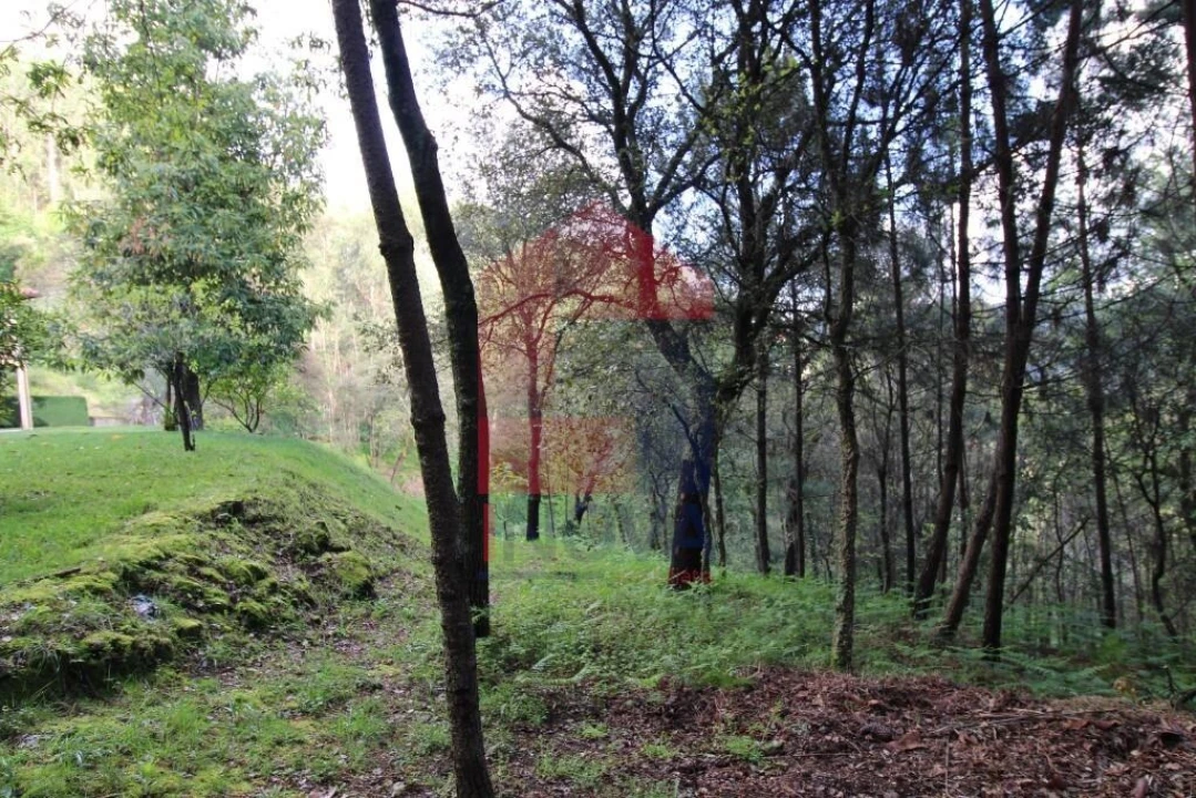 Moradia T4 para Venda em Ribeira do Neiva Foto 63