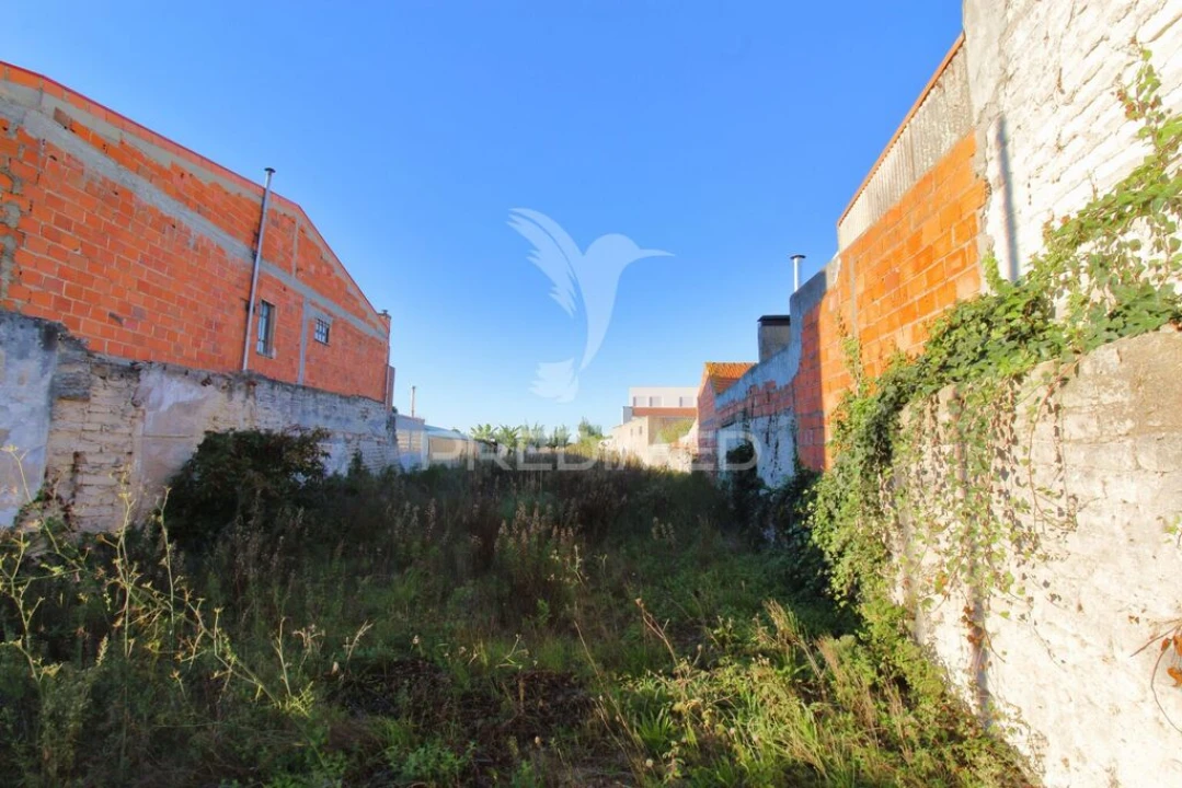 Terreno para Venda em Vagos e Santo António Foto 3