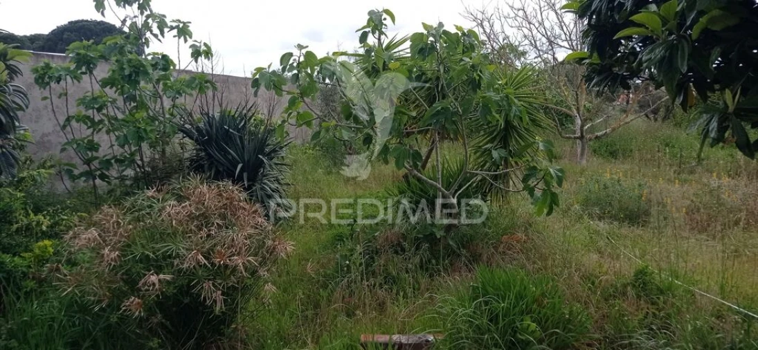 Moradia T2 para Venda em Couço Foto 18