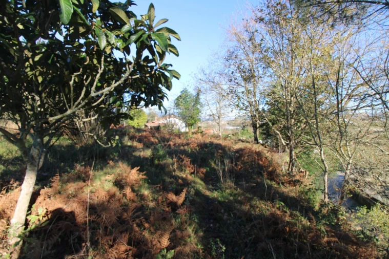 Terreno para Venda em Cornes Foto 3