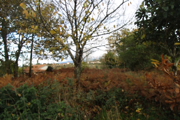 Terreno para Venda em Cornes Foto 10
