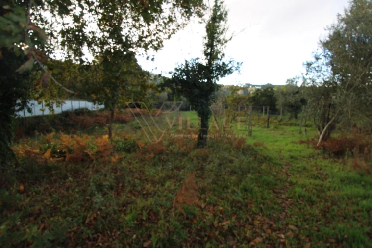 Terreno para Venda em Cornes Foto 11