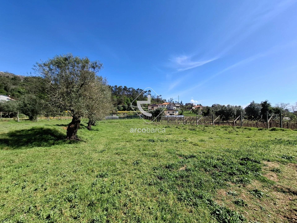 Quinta T3 para Venda em Anais Foto 18