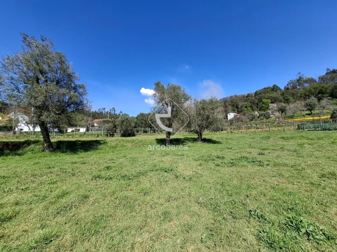 Quinta T3 para Venda em Anais Foto 21