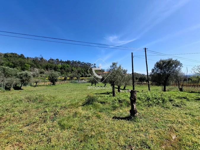 Quinta T3 para Venda em Anais Foto 17