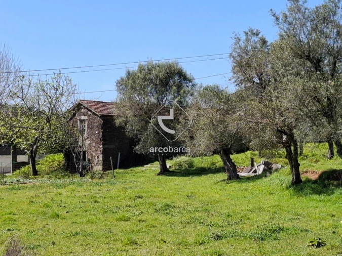 Quinta T3 para Venda em Anais Foto 15