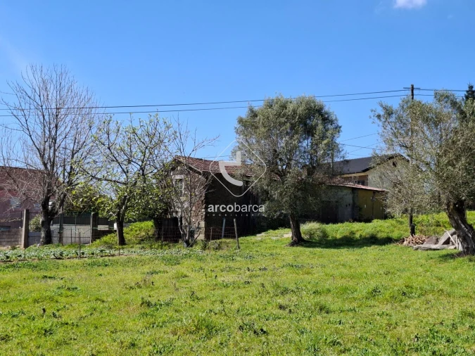 Quinta T3 para Venda em Anais Foto 2