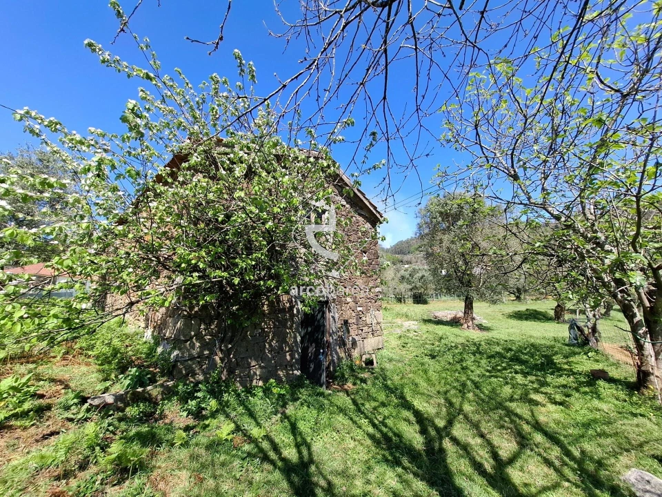 Quinta T3 para Venda em Anais Foto 29