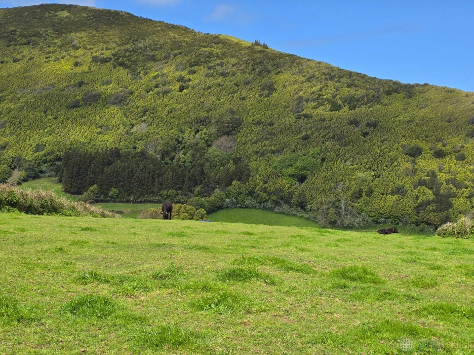 Terreno para Venda em Pedro Miguel Foto 8