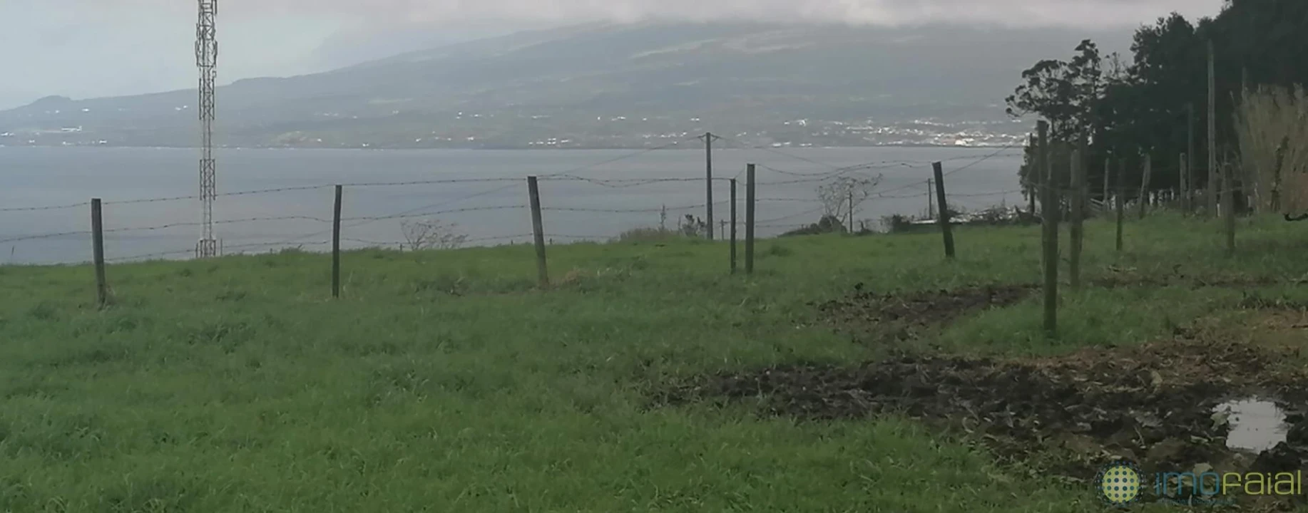 Terreno para Venda em Pedro Miguel Foto 11