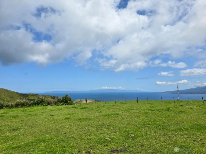 Terreno para Venda em Pedro Miguel Foto 3