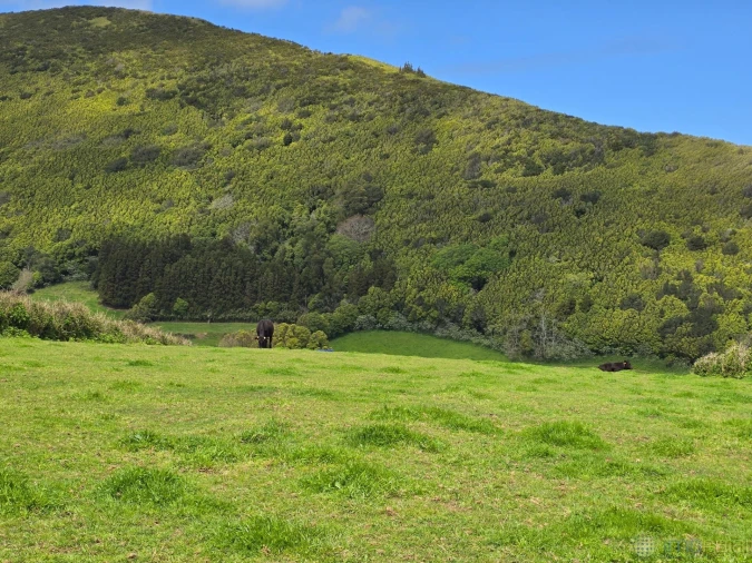 Terreno para Venda em Pedro Miguel Foto 8
