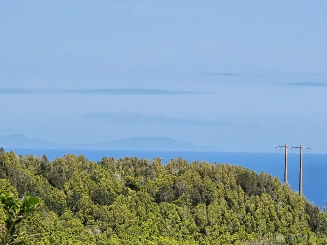 Terreno para Venda em Pedro Miguel Foto 5