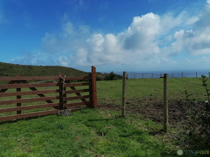 Terreno para Venda em Pedro Miguel Foto 13