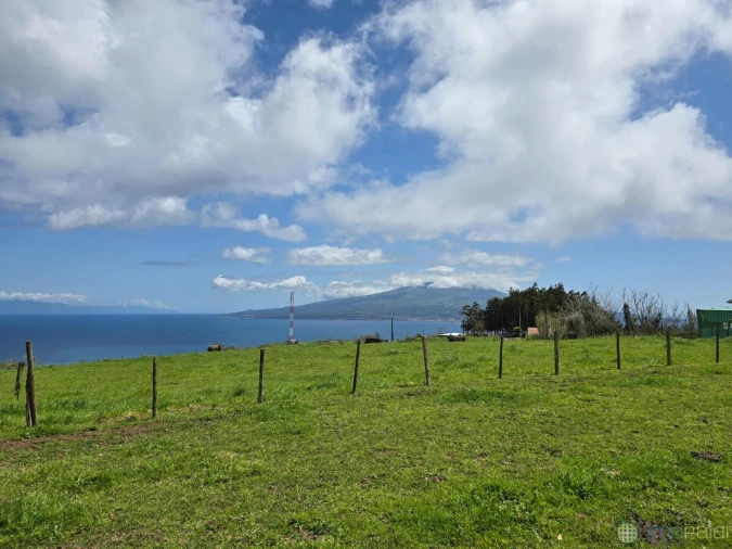 Terreno para Venda em Pedro Miguel