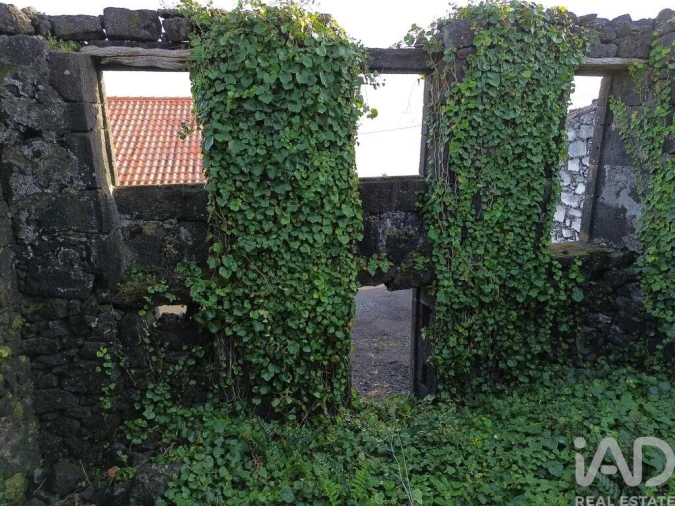 Moradia para Venda em São Caetano Foto 23