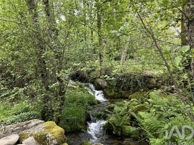 Moradia T2 para Venda em Cambra e Carvalhal de Vermilhas Foto 21