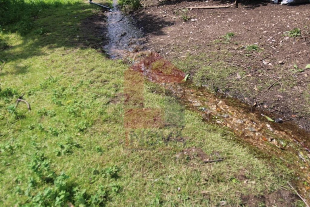 Moradia T3 para Venda em Carreiras (São Miguel) e Carreiras (Santiago) Foto 52