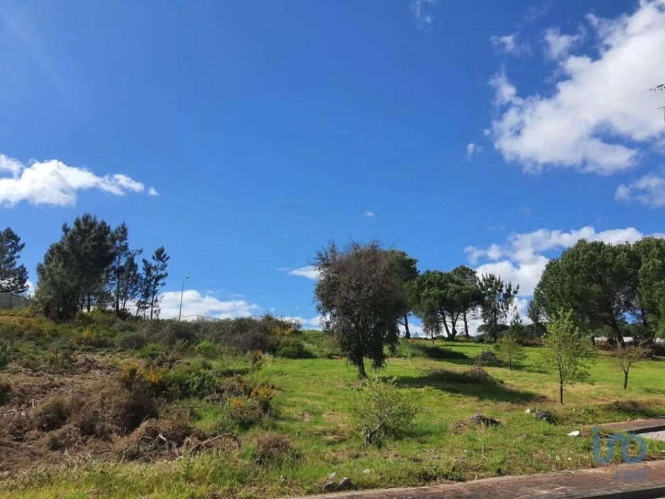 Terreno para Venda em Nossa Senhora da Piedade Foto 8