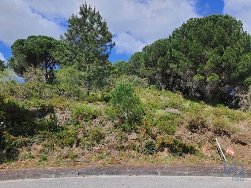 Terreno para Venda em Nossa Senhora da Piedade Foto 5