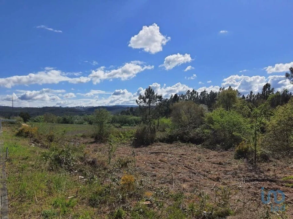 Terreno para Venda em Nossa Senhora da Piedade Foto 6