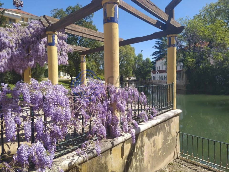 Moradia T1 para Venda em Casais e Alviobeira Foto 14