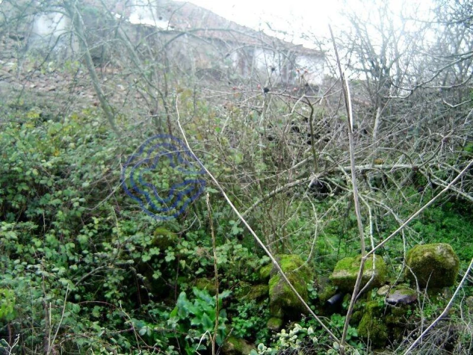 Moradia T1 para Venda em Casais e Alviobeira Foto 4